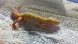 Peggy 9-15-2015.jpg