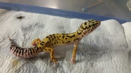 Fred 9-15-2015.jpg