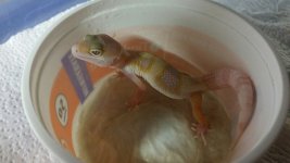 Bobby 9-15-2015.jpg