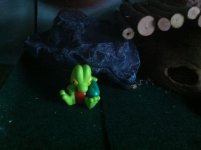 treecko.jpg
