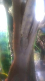 IMAG2284.jpg