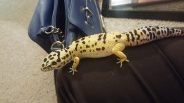 0929152008.jpg 0929152008.jpg