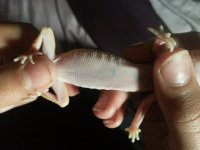 20151006_095428.jpg