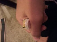 20151009_151347.jpg