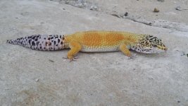 20151017_174816.jpg 20151017_174816.jpg