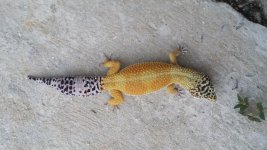 20151017_174806.jpg 20151017_174806.jpg