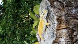 20150713_172420.jpg 20150713_172420.jpg