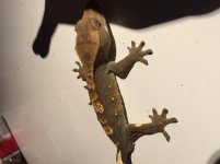 IMG_0076.jpg IMG_0076.jpg