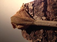 photo 4.jpg photo 4.jpg