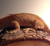 photo 2 (2).jpg photo 2 (2).jpg