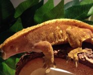 photo 4.jpg photo 4.jpg