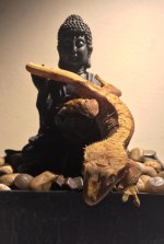 FullSizeRender (2).jpg FullSizeRender (2).jpg