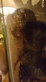 20151128_200251.jpg