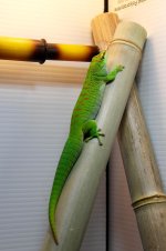 IMG_0183.jpg