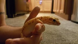 olivia1.jpg olivia1.jpg