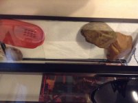 IMG_0189[1].jpg