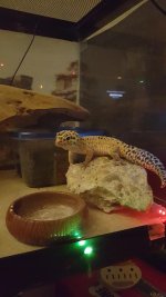 20151210_174106.jpg