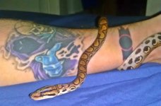 On arm 1.jpg