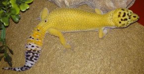 20151217_200847.jpg 20151217_200847.jpg