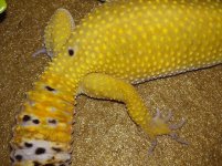 20151217_200857.jpg 20151217_200857.jpg