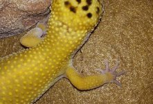 20151217_201046.jpg 20151217_201046.jpg