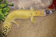 20151217_201123.jpg 20151217_201123.jpg