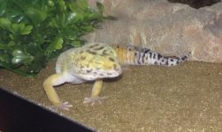 20151217_201335.jpg 20151217_201335.jpg