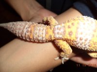 DSC00575.jpg DSC00575.jpg