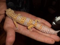 DSC00576.jpg DSC00576.jpg