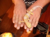 DSC00578.jpg DSC00578.jpg