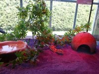 20131005_123027.jpg 20131005_123027.jpg