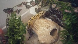 1224151832a.jpg 1224151832a.jpg