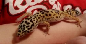 81340c1b-846e-4aa3-b679-611272eca9e7.jpg 81340c1b-846e-4aa3-b679-611272eca9e7.jpg