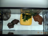 Apollo top before.jpg