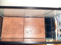 Apollo top in progress.jpg