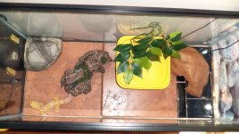 Apollo top after.jpg