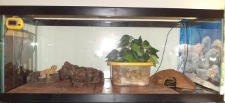 Apollo front after.jpg