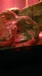 IMAG0535.jpg IMAG0535.jpg