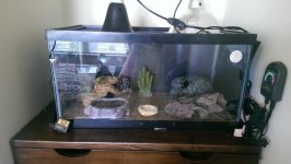 IMAG0480.jpg IMAG0480.jpg