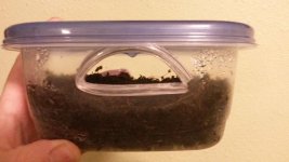 20160129_212143.jpg