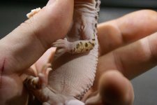 DSC04838.jpg DSC04838.jpg