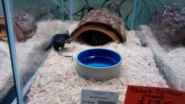 IMG_20160205_163012199.jpg IMG_20160205_163012199.jpg