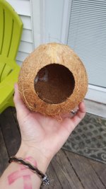 20160221_153024.jpg 20160221_153024.jpg