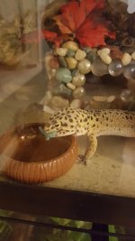 20160226_192136.jpg