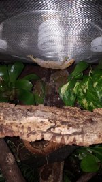 20160309_235659.jpg