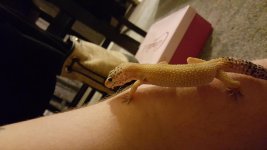 20151205_184331.jpg