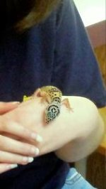 20160330_131050_PerfectlyClear_0002.jpg 20160330_131050_PerfectlyClear_0002.jpg