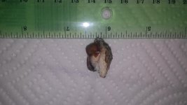 20160410_173307.jpg 20160410_173307.jpg