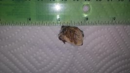 20160410_173229.jpg 20160410_173229.jpg