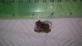 20160410_173326.jpg 20160410_173326.jpg